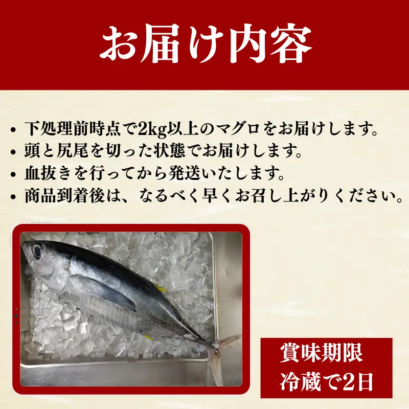 キハダマグロ 1尾 下処理済み 和歌山県すさみ町産 / マグロ 丸ごと 魚 捌く 鮪 海鮮丼 寿司 手巻き寿司 漬け丼 海鮮 海の幸 魚介 新鮮 刺身 和歌山 すさみ町 キハダマグロ 大容量 【scp123】 