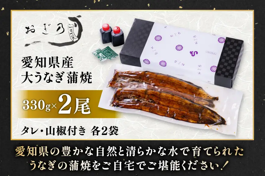 うなぎ 国産 うなぎ蒲焼 2尾 660g 各330g