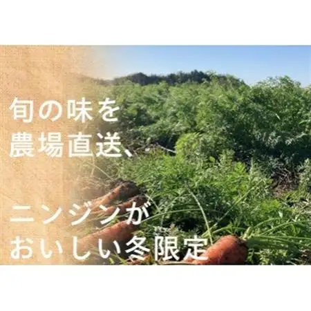 有機ニンジン　栽培期間中農薬不使用　有機JAS認証　冬季限定(12～3月発送)【配送不可地域：離島・北海道・沖縄県】【1568578】