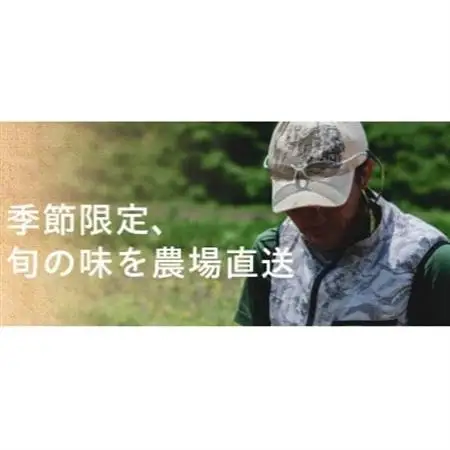 【フードロス対応・規格外】有機ジャガイモ 3kg　訳あり    季節限定(12～3月発送)【配送不可地域：離島・北海道・沖縄県】【1568581】