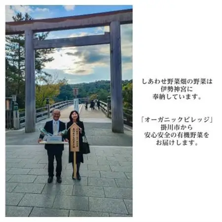 【フードロス対応・規格外】　有機大根　訳あり　有機JAS　冬季限定(12～3月発送)【配送不可地域：離島・北海道・沖縄県】【1568591】