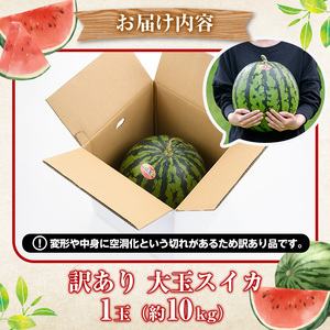 訳あり！鹿児島県産 大玉スイカ(1玉・約10kg) 国産 果物 スイカ すいか 西瓜 フルーツ スイーツ スムージー ジュース【松永青果】akn053-21