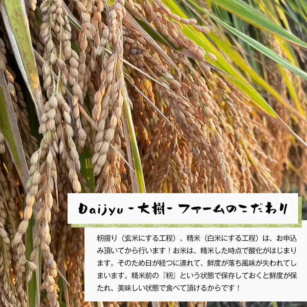 【定期便6ヶ月】自然栽培　コシヒカリ（白米）　5kg