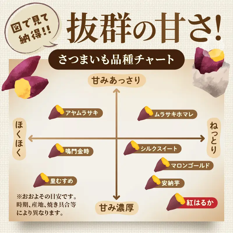 【先行予約】京丹後産 紅はるか 約1.5kg 土付き（2026年10月上旬～発送）
