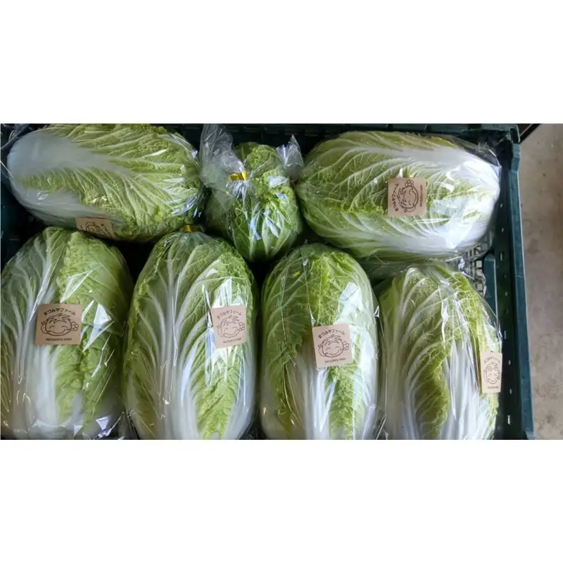 【野菜】京都 冬鍋野菜セット 4種