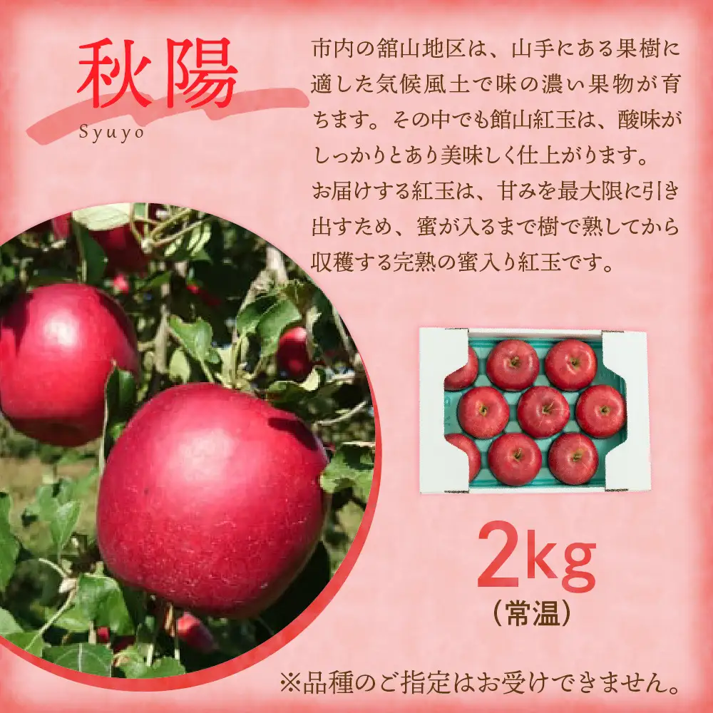 【先行予約】定期便 令和9年産 旬のフルーツ 4回 定期便 山形 果物