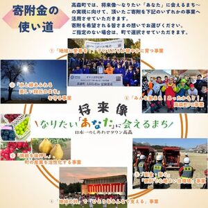 【返礼品はございません】長野県高森町への応援寄附（1口1,000円コース）寄附のみ・返礼品なし