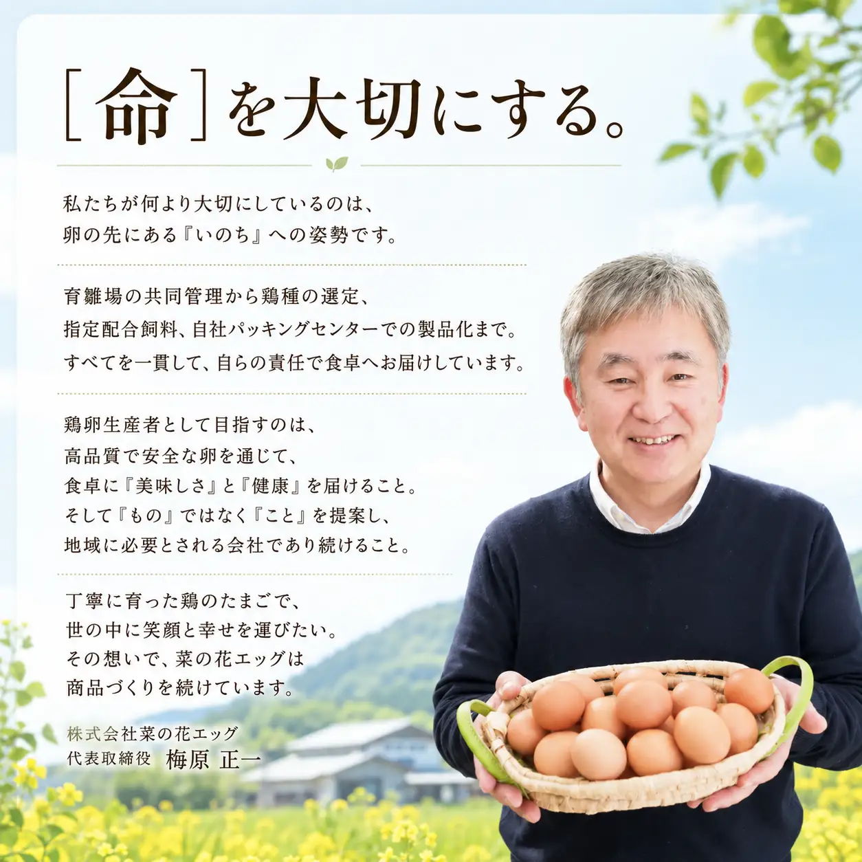 【全6回 定期便】白玉アスタキサンチン卵 50個｜たまご 玉子 菜の花エッグ 自社農場 定期便 すぐ発送 常温 抗酸化 健康 卵かけご飯 ギフト 君津養鶏場直送｜千葉県 君津市