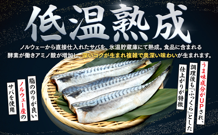 【定期便 隔月3回】 塩サバフィレ 計:9kg ※1回あたり3kg 冷凍 鯖 塩 さば 魚 塩さば さかな 海産物 おかず 鯖ご飯 魚介 海鮮 惣菜 塩サバ 塩鯖 焼き鯖 サバ 焼きさば 焼さば 南知多 定期便 人気 おすすめ 愛知県 南知多町