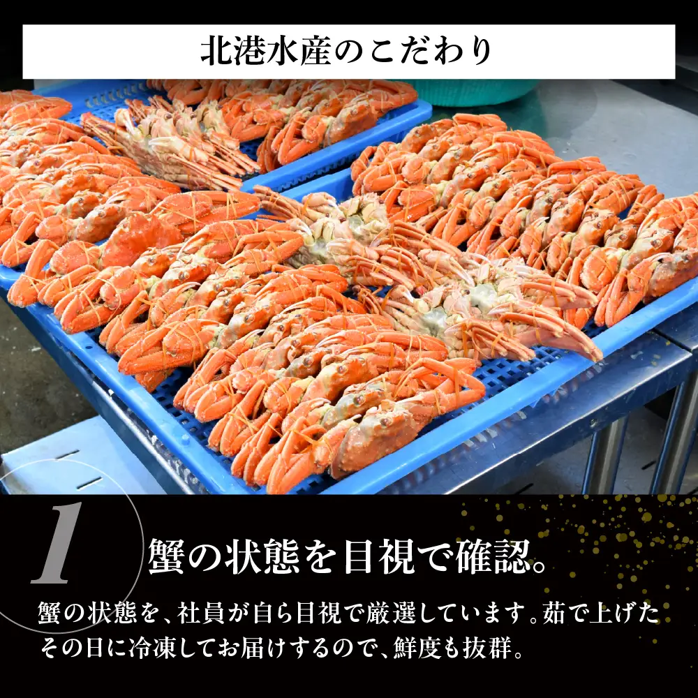ボイル オオズワイガニ 姿 2kg（4～5杯）