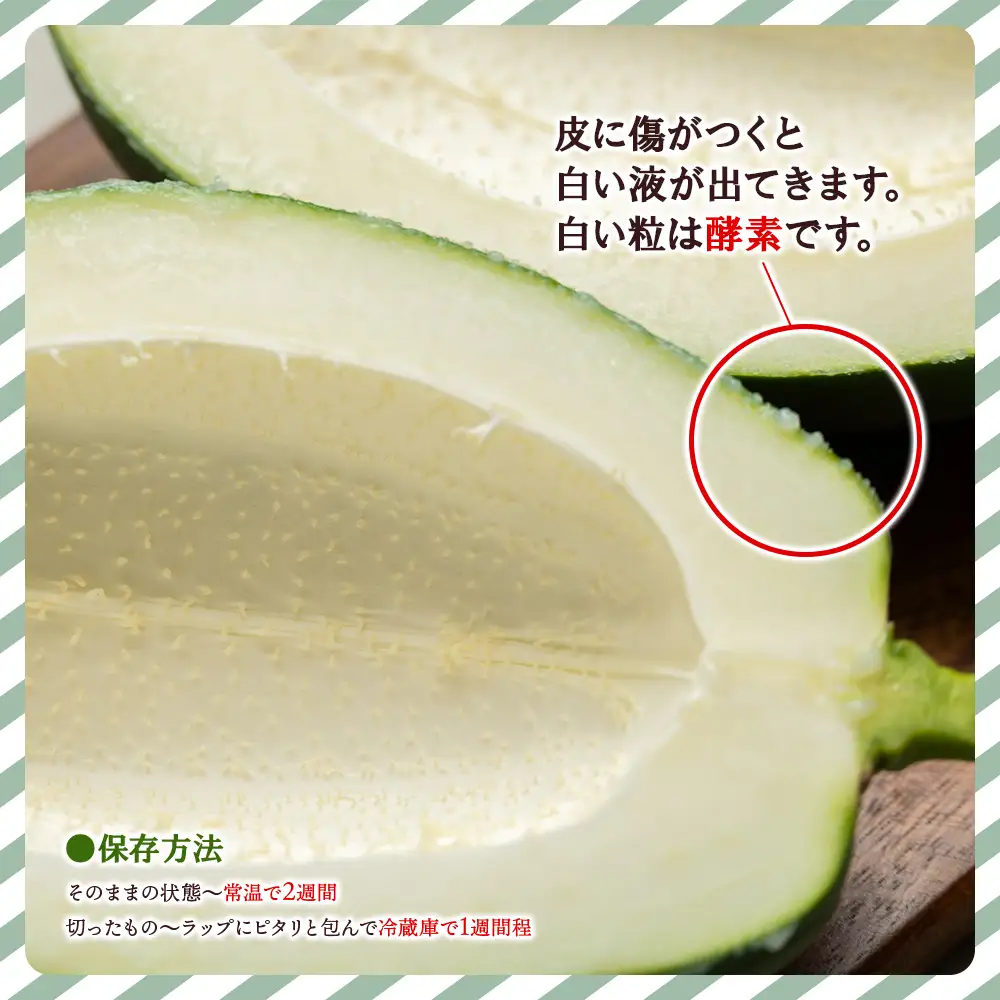 【野菜ソムリエが育てたパパイヤ】パパイヤ ２玉【青パパイヤ パパイヤ パパイヤ パパイヤ】 mj-0017