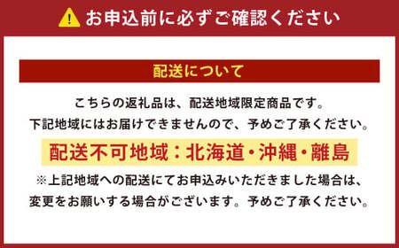 【ブラウン】正方形低反発チェアパッド ｜ チェアパッド パッド 低反発 椅子 ソファー フローリング 床 家庭 仕事