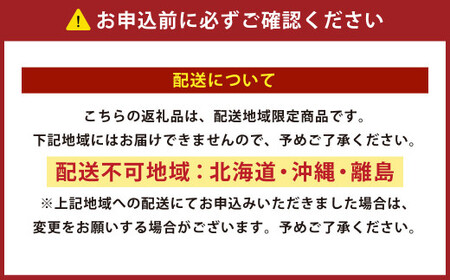 【ブラウン】正方形低反発チェアパッド 2枚セット ｜ チェアパッド パッド 低反発 椅子 ソファー フローリング 床 家庭 仕事
