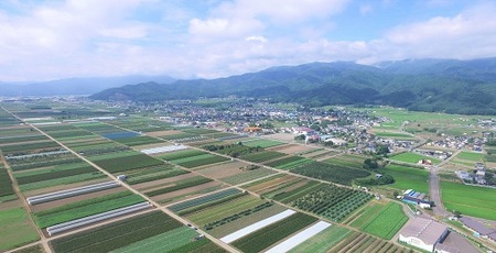 1254 長野県産 シードル スイート 375ml 2本（つがる・ふじ）