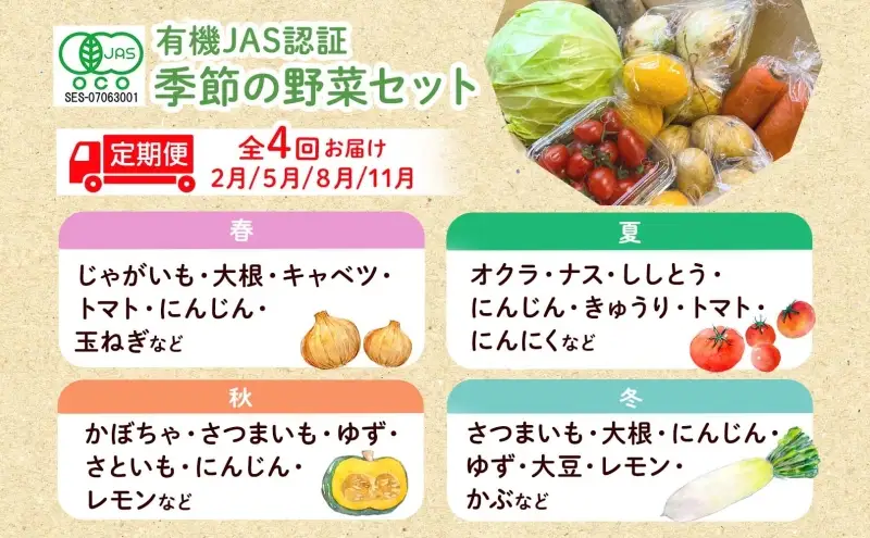 野菜詰合せ 季節の野菜 有機栽培 無農薬 千代田ファーム 野菜詰合せ【定期便 全4回】【冷蔵】