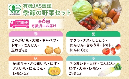 野菜詰合せ 季節の野菜 有機栽培 無農薬 千代田ファーム 野菜詰合せ【定期便 全6回】【冷蔵】
