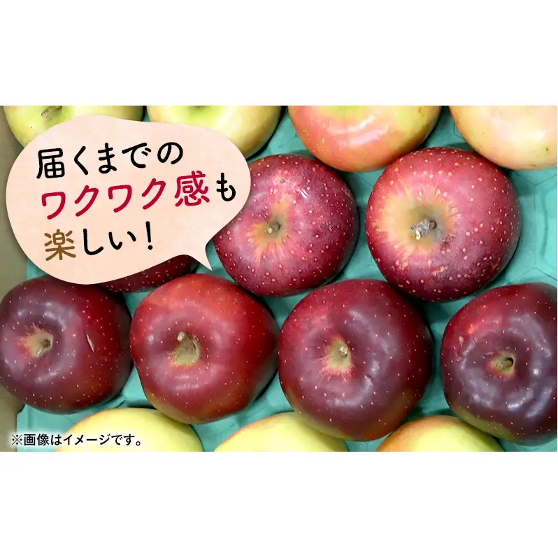 りんご詰合せ 品種おまかせ青森県産家庭用 りんご詰合せ【約5kg 2〜4品種】【12月発送】