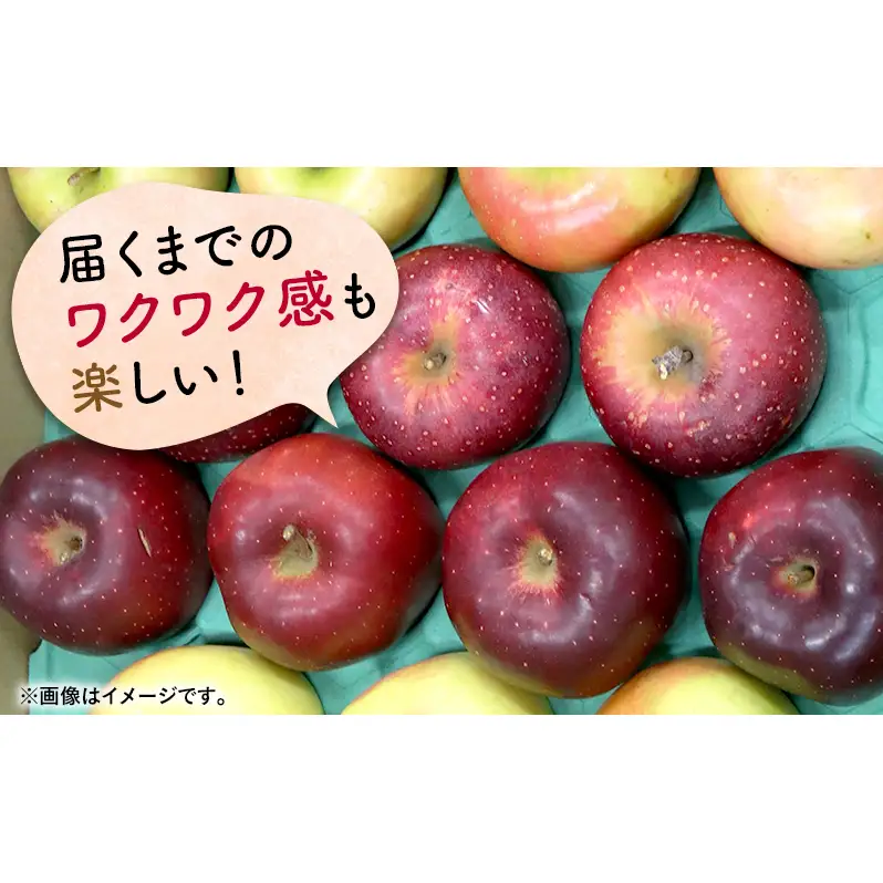 りんご詰合せ 品種おまかせ青森県産家庭用 りんご詰合せ【約5kg 2〜4品種】【2月発送】
