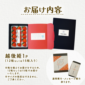 【2027年1月中旬発送開始】 いちご 越後姫 １パック  フルーツ 苺 いちご くだもの 果物 イチゴ shibatafarm001_01