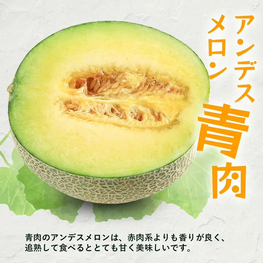 【2027年5月上旬～発送】アンデスメロン 青肉 5玉 (合計 約4.5～5kg) 先行予約 熊本県 多良木町産 果物 フルーツ メロン 先行予約 5個 青肉 ミツバチ交配 期間限定 数量限定 109-0501