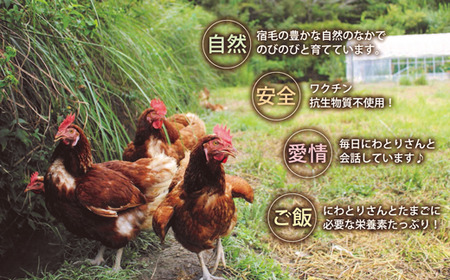 最高こだわりプレミアムセット 卵