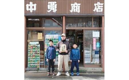 東北町産　はれわたり　精米10kg　2か月定期便　計20kg　【02408-0099】