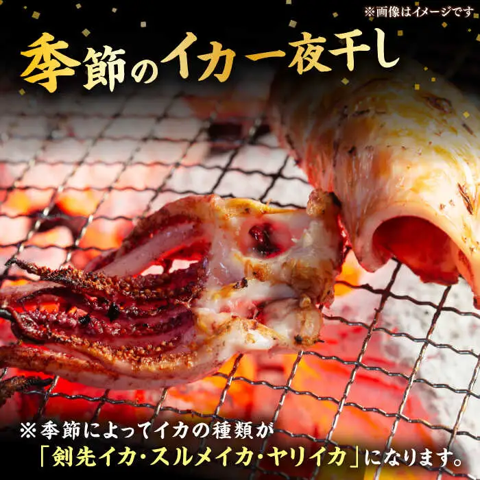 季節のイカ一夜干し1枚＋生ウニ60g 《壱岐市》【合同会社塚元】 [JDR026] ウニ イカ セット