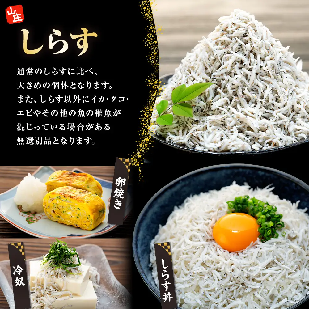 生しらす 400g 訳あり しらす干し 500g セット 冷凍 刺身 真空パック 炒飯 パスタ ごはん 丼 サラダ 魚 料理 愛知県 南知多町 師崎 山庄水産