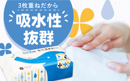 【4回定期便(3ヵ月に1回お届け)】 水に流せる 3枚重ね ティッシュ ソフトパック 30パック (1パック:100組(300枚)入り) 【河野製紙株式会社】[ATAJ021]