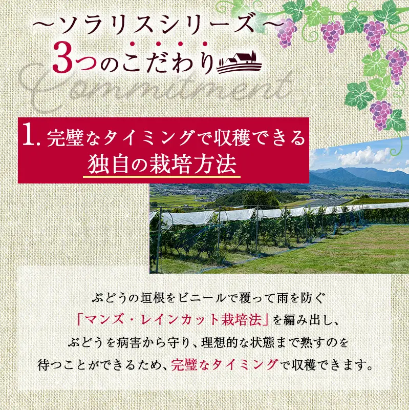 ワイン ソラリス ユヴェンタ 赤 ワイン