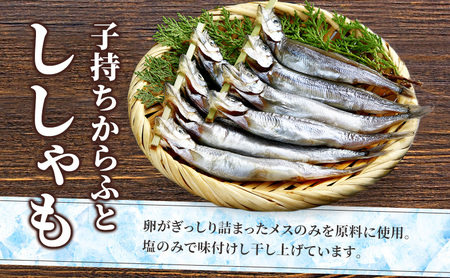 おつまみセット 岡田水産干物揚げ物魚貝類 おつまみセット【定期便】