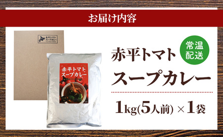 スープカレーセットレトルト惣菜鶏肉唐揚げスープカレーセット【2品】