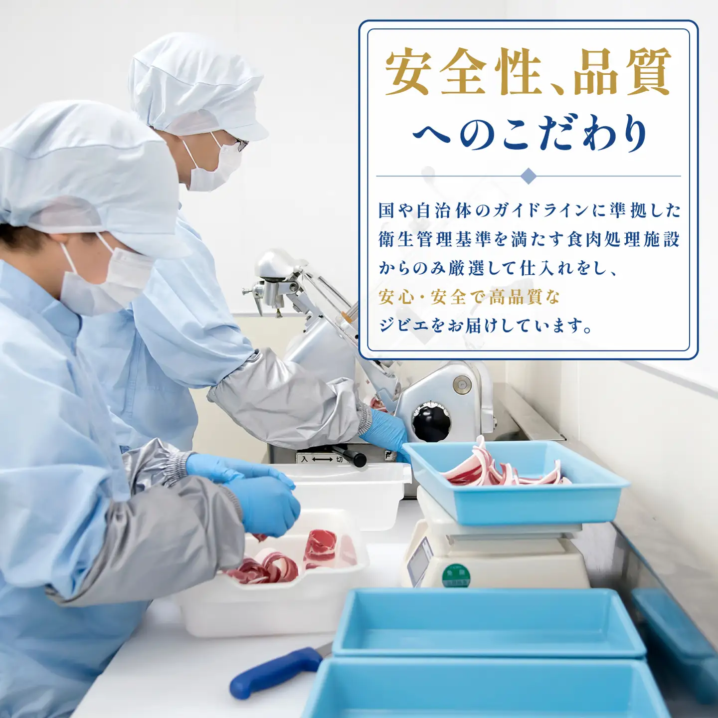 イノシシ肉 味噌すき鍋セット 約500g