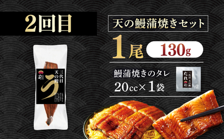 【3回定期便】人気！炭火焼き カツオとうなぎ 食べ比べ定期便　約2名分【株式会社土佐料理司】[ATAD078]