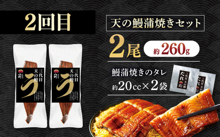 【3回定期便】人気！炭火焼き カツオとうなぎ 食べ比べ定期便　約4名分 /カツオ うなぎ 鰹 刺身 海鮮 鰻蒲焼き【株式会社土佐料理司】[ATAD080]