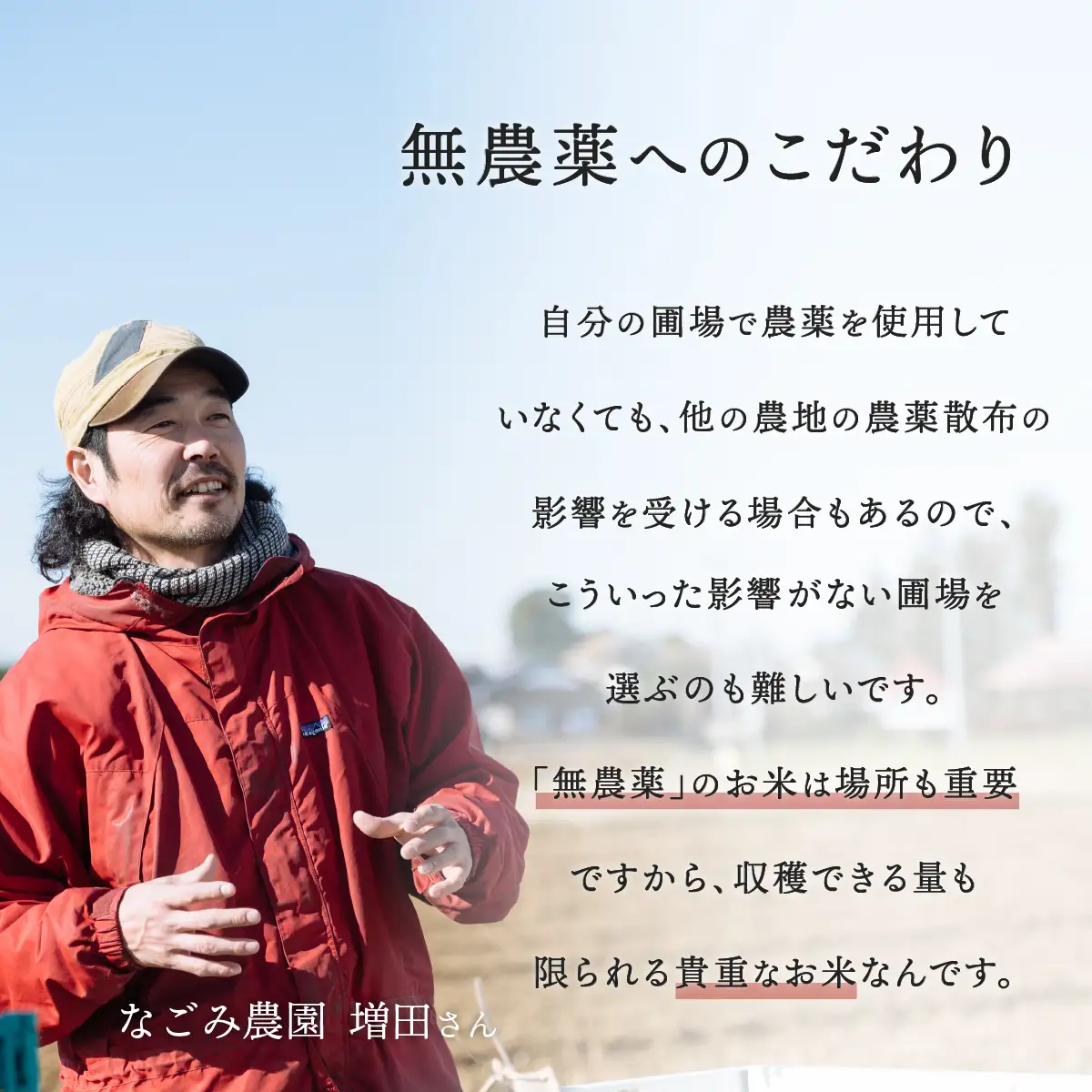 【10月発送】茨城県下妻市産 なごみ米 （ コシヒカリ ） 精米 2kg 【 お米 コシヒカリ 米 無農薬 無化学肥料 無除草剤 精米 ブランド米 茨城県産 】