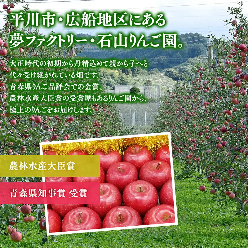 完熟りんごジュース「キラのしずく」1L×12本 〈 りんご