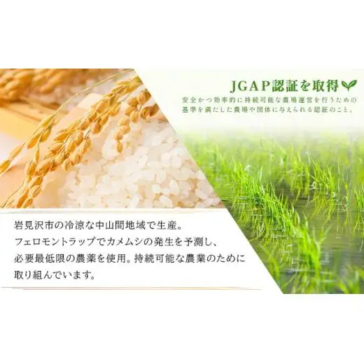 《令和 7 年産》お米 ななつぼし精米 5kg｜米 精米 北海道 岩 見沢市 ファーム坂口の特別栽培米