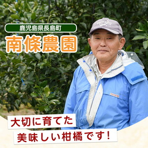 【先行予約】紅 不知火 (3L・2L) 約3kg しらぬい みかん ミカン 蜜柑 柑橘 果物 くだもの フルーツ 【南條農園】nannjyo-7260