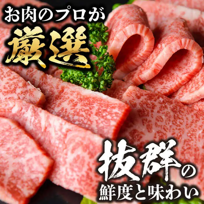 【全3回定期便】【訳あり】おおいた豊後牛 焼肉 切り落とし 1kg(500g×2P) 豊後牛 牛肉 焼肉 切り落とし 大分 冷凍 訳あり [AREI134]