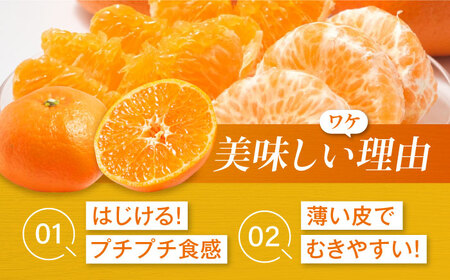 甘平【ご家庭用】甘平  約2.5kg 10個前後 [AGDC004]