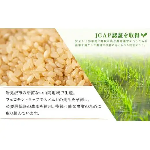 令和7年産！ファーム坂口の特別栽培米 ななつぼし玄米 10kg (5kg×2袋)