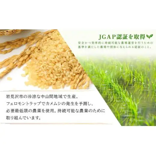 【玄米】《令和 7 年産》お米 ゆめぴりか玄米 10kg(5kg×2袋)｜米 北 海道 岩見沢市 ファーム坂口の特別栽培米