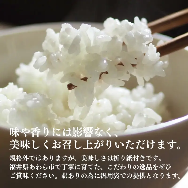 【訳あり】【数量限定】あわら市産 令和7年産 細雪米（コシヒカリ・ハナエチゼン・あきさかりのいずれか） 精米 10kg 《発送直前精米》 [aw012-a042]