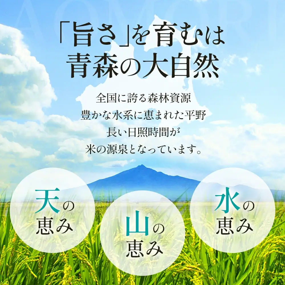 青天の霹靂　精米2kg　【02408-0107】