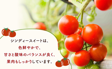 定期便 6か月 トマト ジュース 「 星のトマトミックス 」 720ml 3本 セット  ジュース