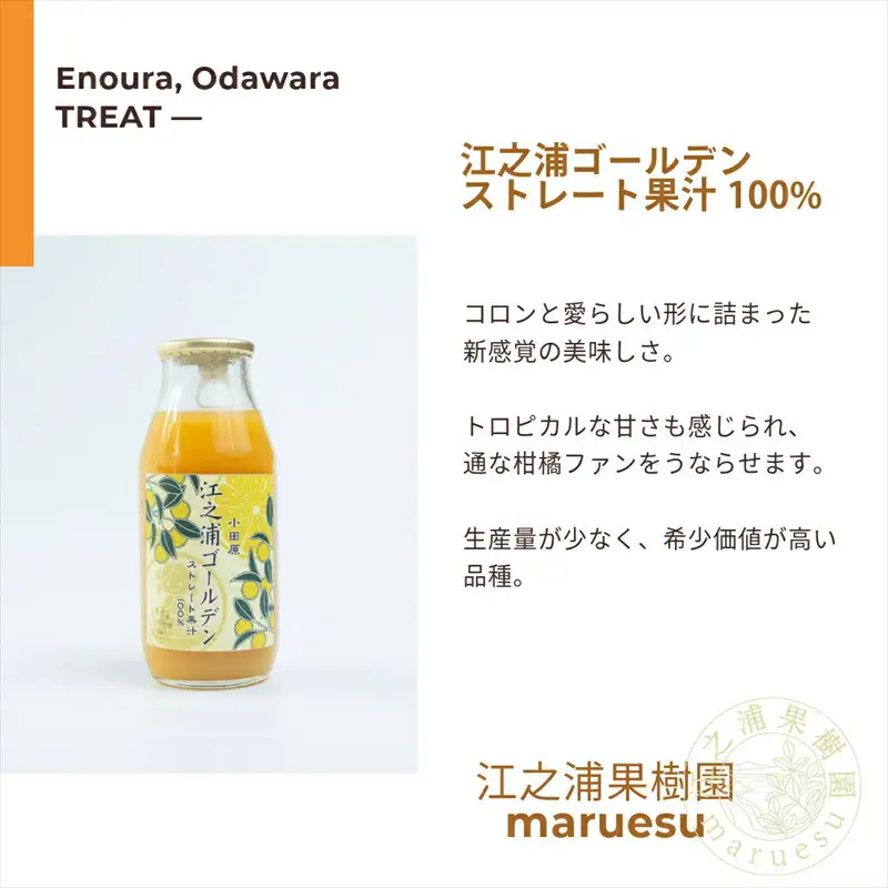 小田原産江之浦みかんジュース５種のみくらべ３０本セット うんしゅう・しらぬい・ゴールデン・なつみ・バレンシアオレンジ１００％ストレートジュース１８０ml各６本合計３０本【みかんジュース みかんジュース 神奈川県 小田原市 】