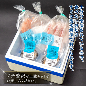 【地域コラボ】 やわらかアワビとお刺身3種のプチ贅沢セット あわび お刺身 セット スチーム ボイル 贅沢 鮑 Abalone ステーキ 正月 お正月 おせち 刺し身 刺身 食べ比べ 