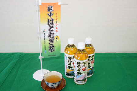 ハトムギ 茶 500ml 24本 入 1ケース