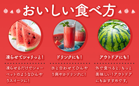 【先行予約】スイカ 小玉すいか 秀品 2玉 約 2kg ～ 3kg L ～ 3L 混合 株式会社Foody’s 食彩たかみ 《2027年5月下旬-7月下旬頃出荷》 熊本県 菊池市 フルーツ 果物 スイカ すいか 小玉 九州産 冷蔵 送料無料